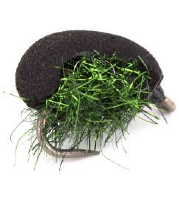 BLACK LOUSE BARBLESS