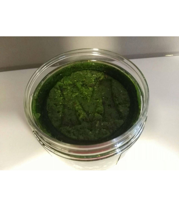 Mivardi Rapid paste ProActive - Garlic & Chilli-Sazan pastası