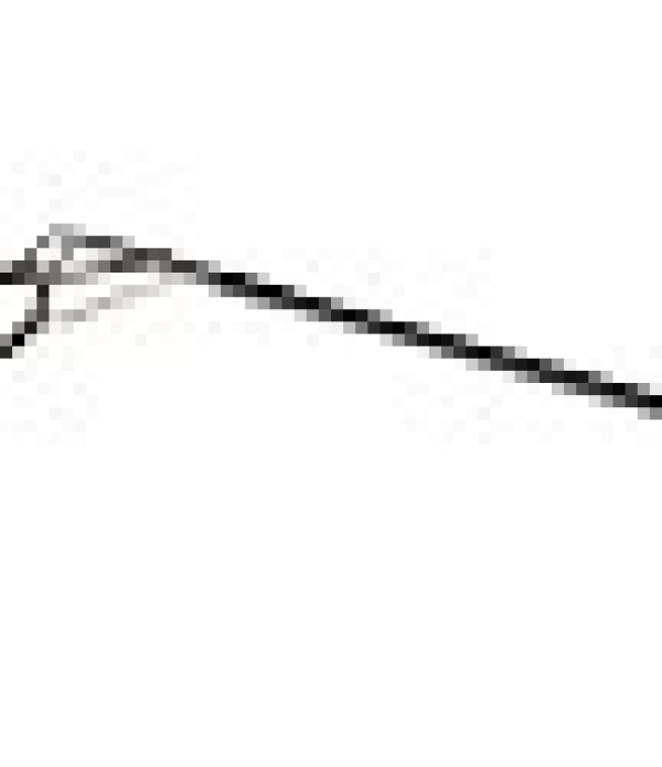 Mivardi Vector Carp MK2 -Sazan Kamışı 3,60m 3,0lb