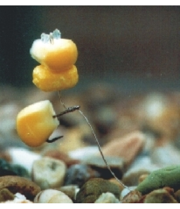 POPUP SWEETCORN FLUORO YELLOW